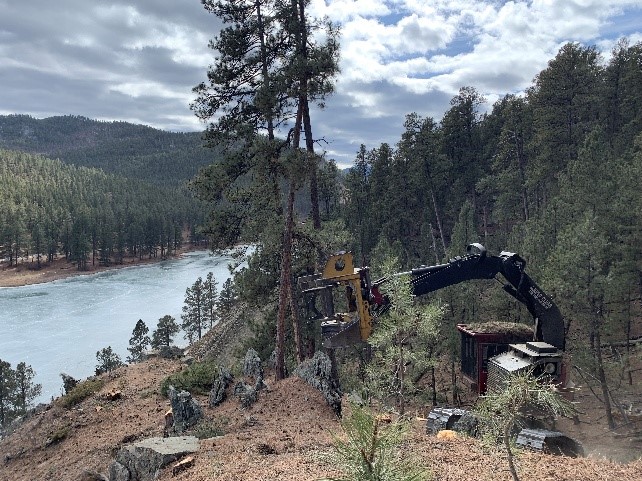 Excavator doing work clearing trees and logging