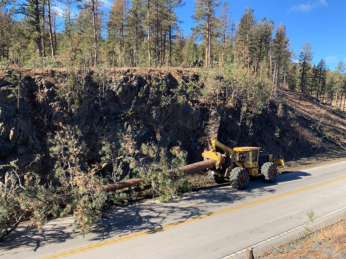 Tree removal.